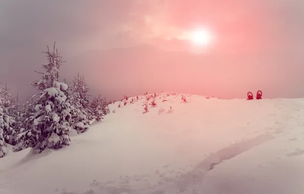 Winter, the sun, snow, mountains, fog, tree