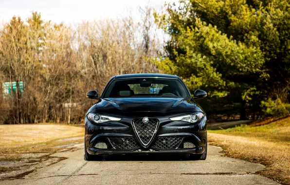 Picture Alfa Romeo, road, Giulia Quadrifoglio