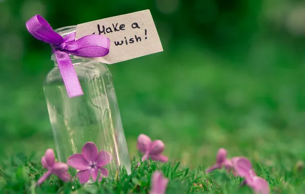 Picture greens, purple, grass, macro, flowers, nature, background, the inscription