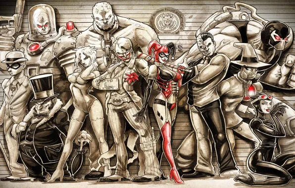 Picture Joker, Cat woman, Harley Quinn, Penguin, DC Comics, Scarecrow, Poison Ivy