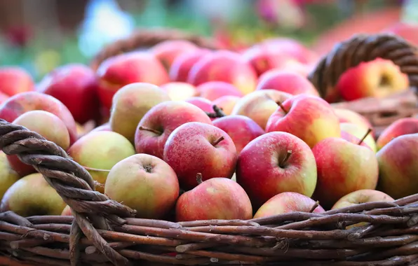 Summer, basket, apples, harvest, red, basket, a lot, bokeh