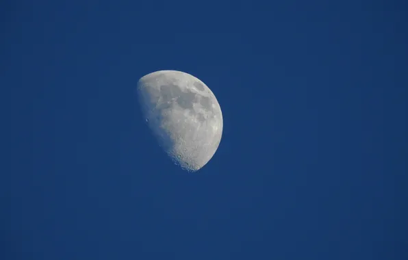 The sky, The moon, Planet, Terminator: the Boundary of Day and Night