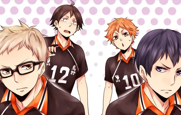 Sport, art, volleyball, Haikyuu