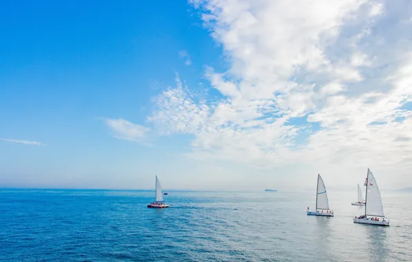 Picture sport, yacht, regatta