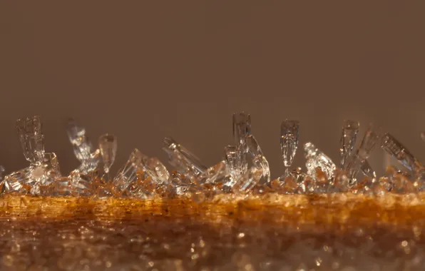 Cold, frost, macro, crystals