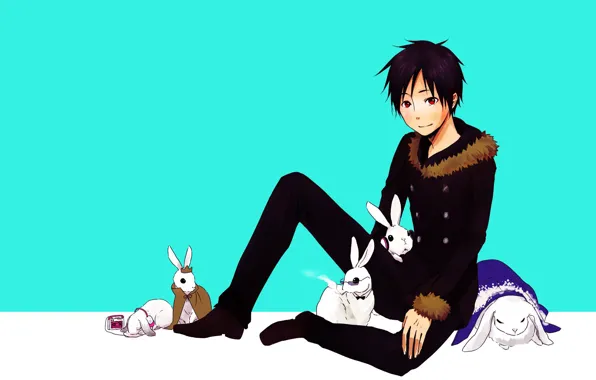 Rabbits, guy, Durarara, Durarara, Of Izaya Orihara