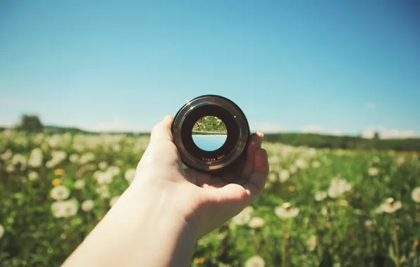 Picture field, flowers, reflection, hand, lens, sunny