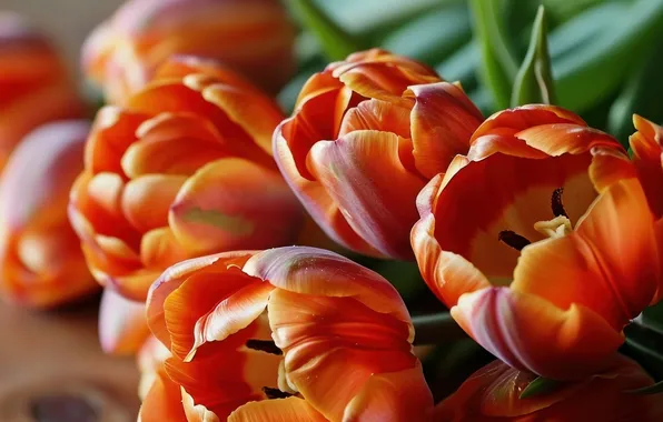 Flowers, holiday, bouquet, tulips, orange, AI art, universal holiday background, neural network