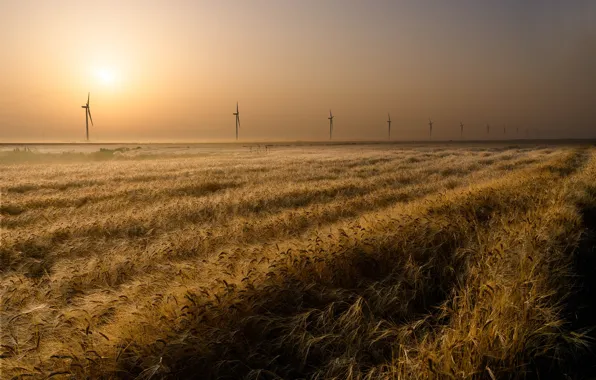 Picture field, horizon, windmills