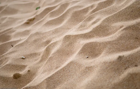 Picture sand, beach, macro, nature, photo, Wallpaper
