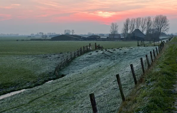 Field, sunset, the fence