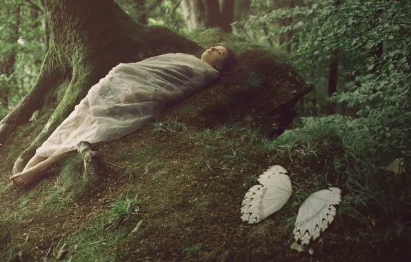 Forest, girl, fantasy, wings, cocoon