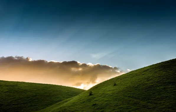 Field, the sky, morning