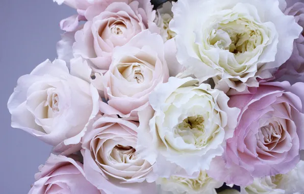 Picture flowers, bouquet, pink, pink, flowers, bouquet, roses