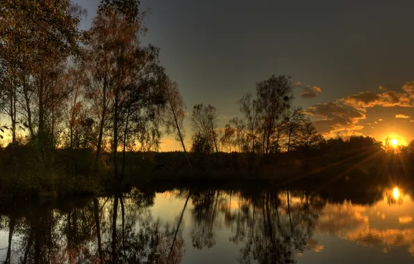 Forest, water, the sun, rays, light, trees, sunset, lake