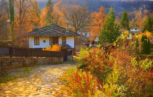 Home, Autumn, Village, Fall, Track, Autumn, Colors, Village