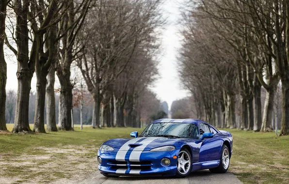 Picture Dodge, Viper, Blue, GTS