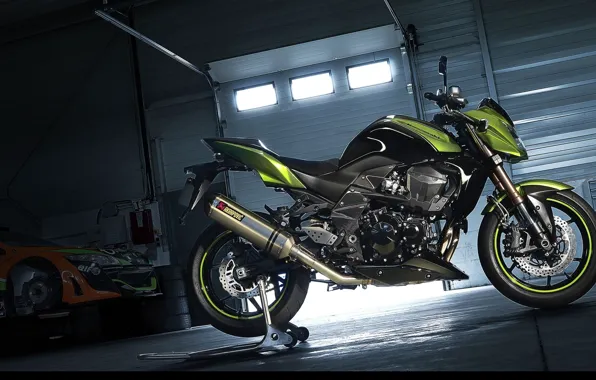 Picture Kawasaki, Akrapovic, Exaust