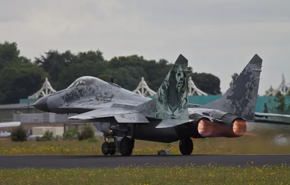 Picture fighter, multipurpose, MiG-29, The MiG-29