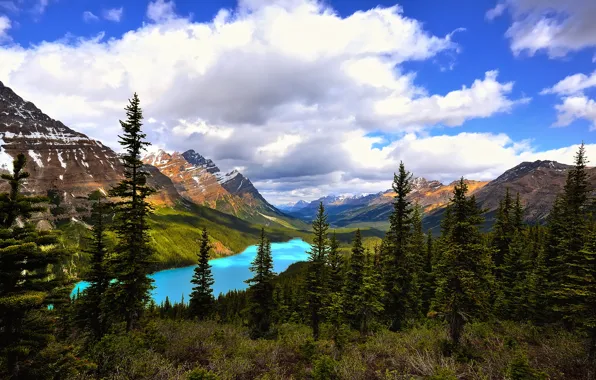 Forest, the sky, clouds, mountains, lake, spruce