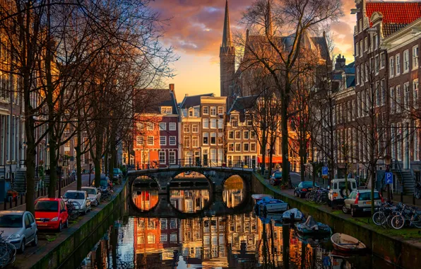 Light, trees, sunset, machine, the city, reflection, street, shore