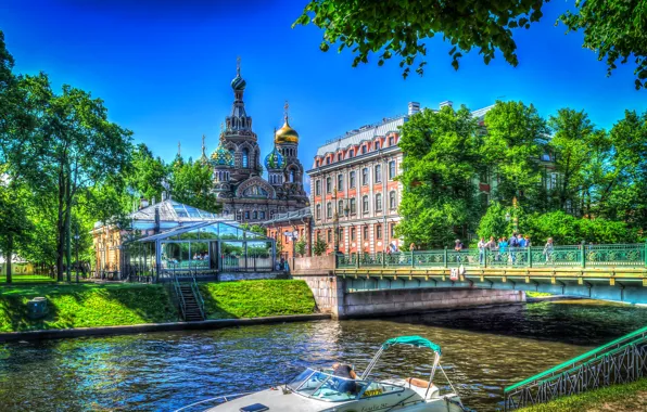 Picture trees, bridge, river, home, treatment, Saint Petersburg, Church, channel