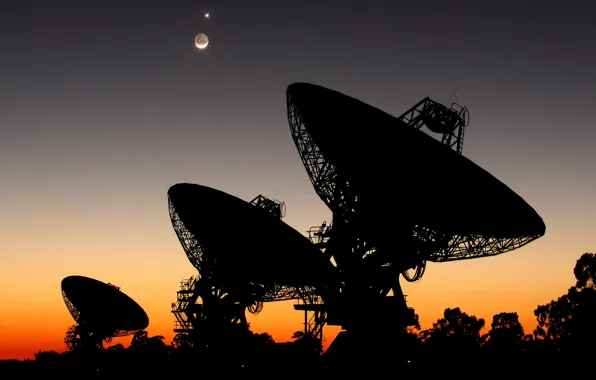 Search, The moon, Venus, radio telescope, Australia, SETI, parabolic antenna
