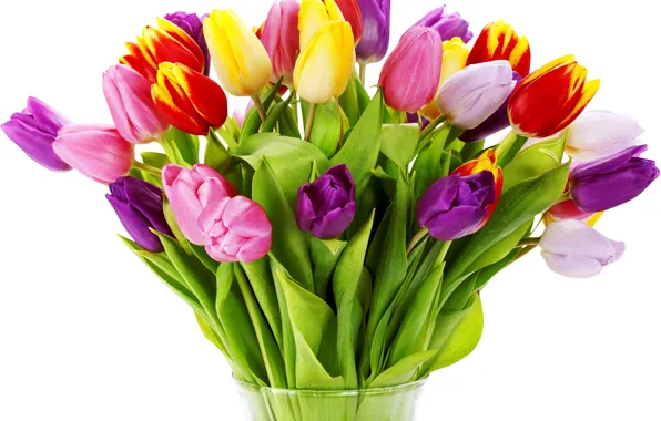 Picture flower, flowers, nature, Tulip, bouquet, spring, tulips, vase