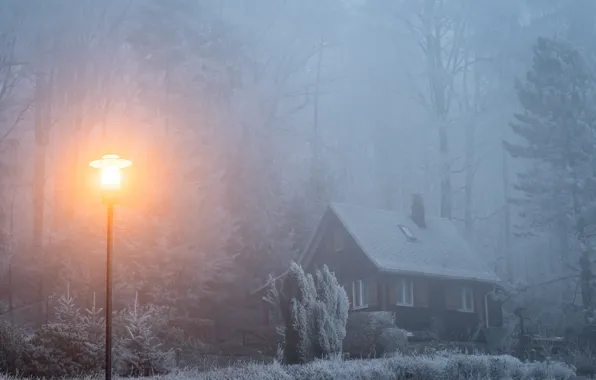 Winter, frost, forest, light, snow, trees, fog, house