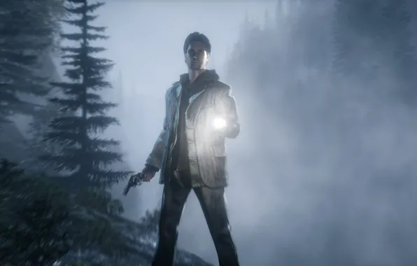 Picture Game, Alan Wake, Remedy Entertainmen, TheVideoGamegallery.com