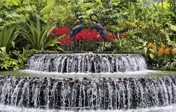 Picture DROPS, GREENS, BLACK, SQUIRT, FLOWERS, WATERFALL, FOUNTAIN, JET