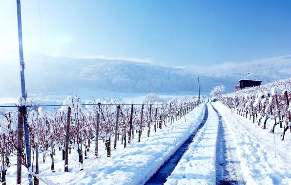 Picture road, landscape, nature, photo, Winter, dal, Mountains, Snow