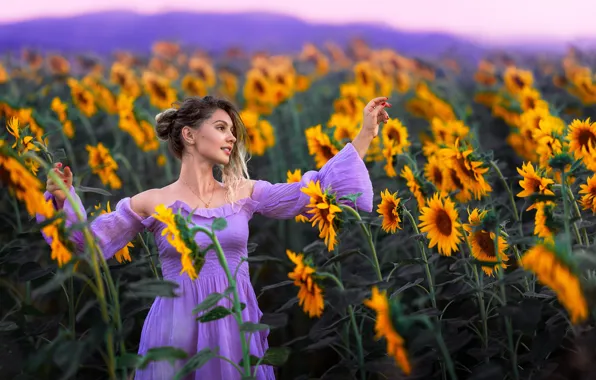 Picture look, girl, sunflowers