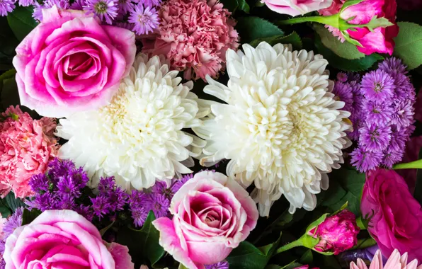 Roses, rose, chrysanthemum, flowers, clove, Dahlias