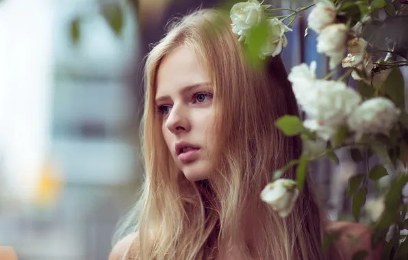 Picture girl, hair, portrait, roses, garden, blonde