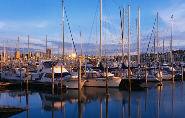 Picture Pier, Boats, Mast