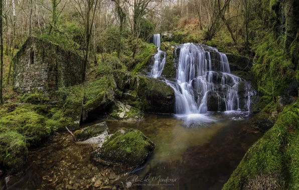 Picture forest, nature, river, stream, waterfall, the barn, house, hut