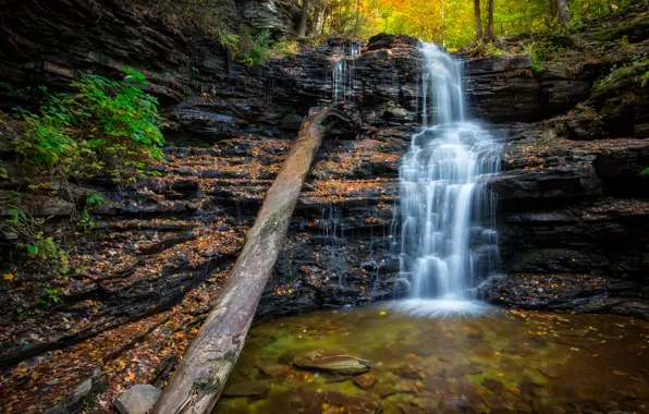 Picture autumn, forest, leaves, stream, stones, waterfall, USA, Ricketts Glen