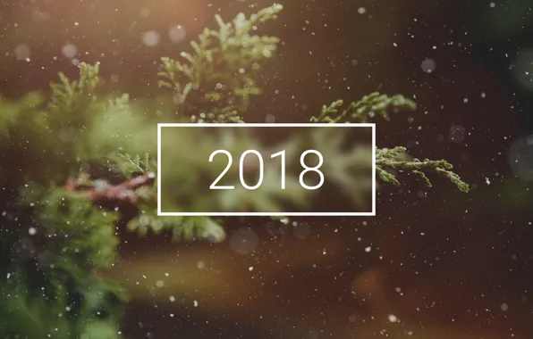 Picture wallpaper, christmas, new year, winter, snow, tree, bokeh, 2018