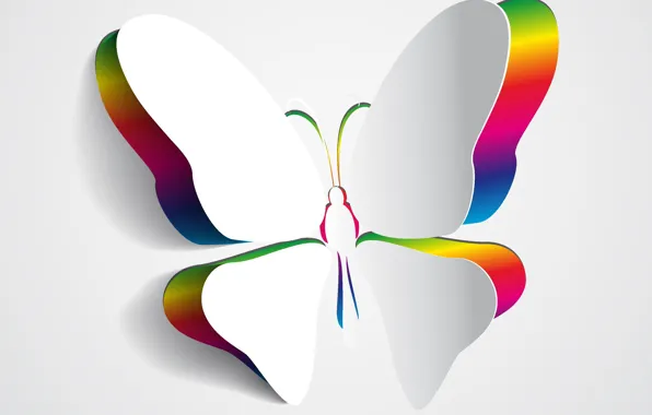Picture color, background, butterfly, wings