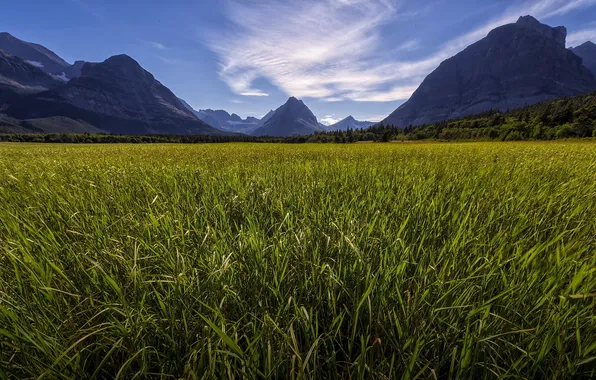 Field, the sky, landscape, mountains