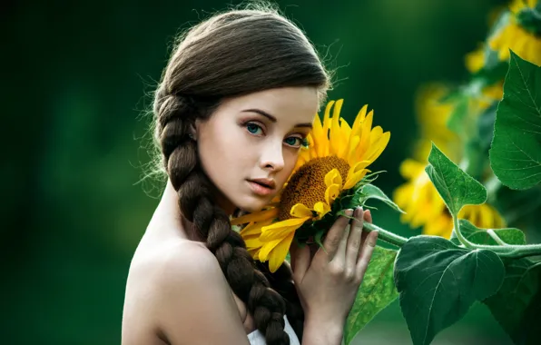 Picture look, girl, face, background, sunflower, light, brown hair, beautiful