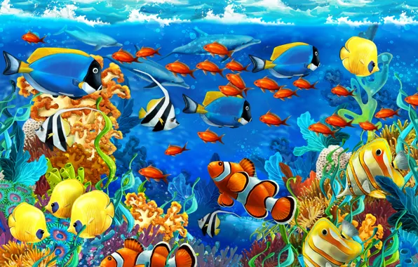 Picture sea, fish, algae, corals, dolphins