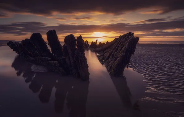 Sand, sea, water, rays, algae, sunset, shore, Board