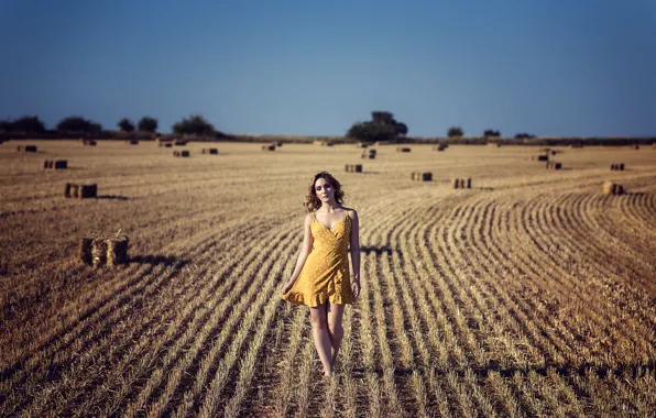 Picture field, summer, girl