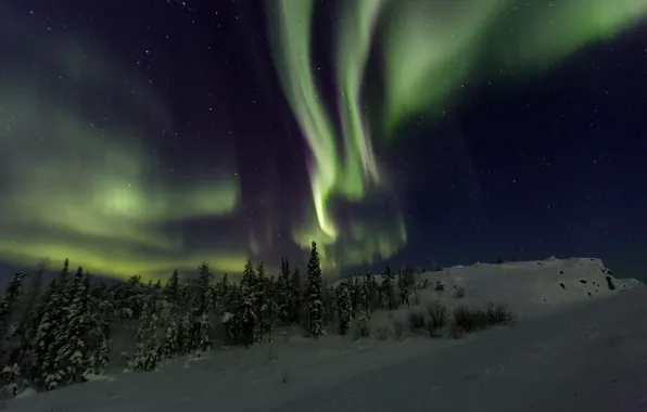Picture winter, night, beauty, Northern lights