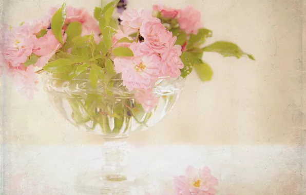 Picture flowers, roses, bouquet, vase, pink, tea