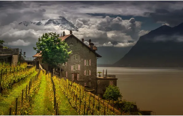 Mountains, lake, house, Switzerland, vineyard
