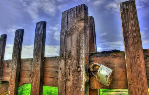 Picture grass, sky, wood, fence, lock