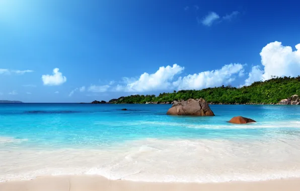 Picture sand, sea, beach, the sun, tropics, shore, summer, sunshine